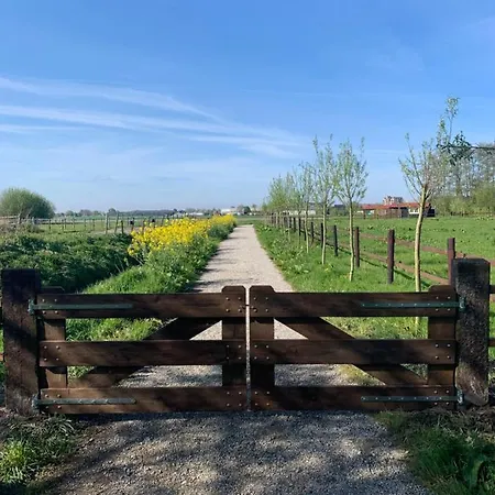 Fields 1216