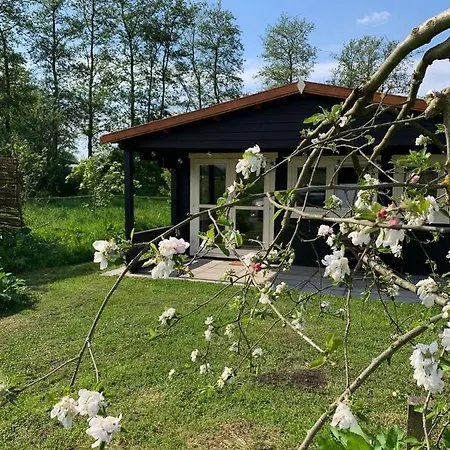 Alojamento de Acomodação e Pequeno-almoço Fields 1216 3*