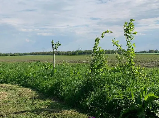 לינה וארוחת בוקר Fields 1216