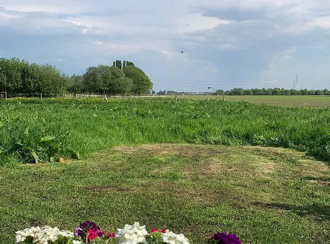 Fields 1216 לינה וארוחת בוקר