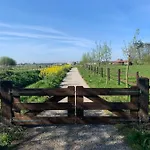 Fields 1216