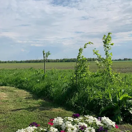 Bed & Breakfast Fields 1216