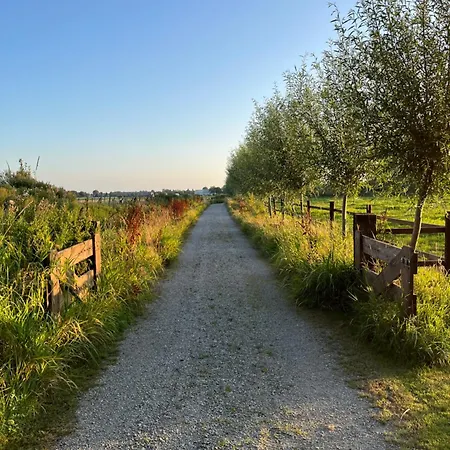 Fields 1216 *