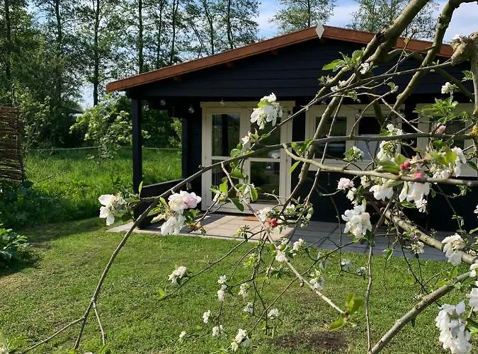 Bed & Breakfast Fields 1216 3*